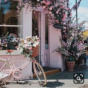 Meet your Posher, Yanet